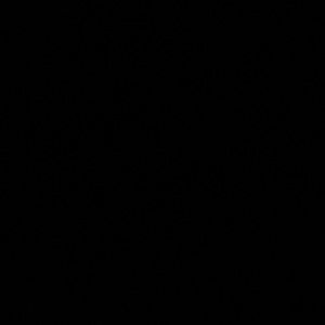 Meet your Posher, Sammy